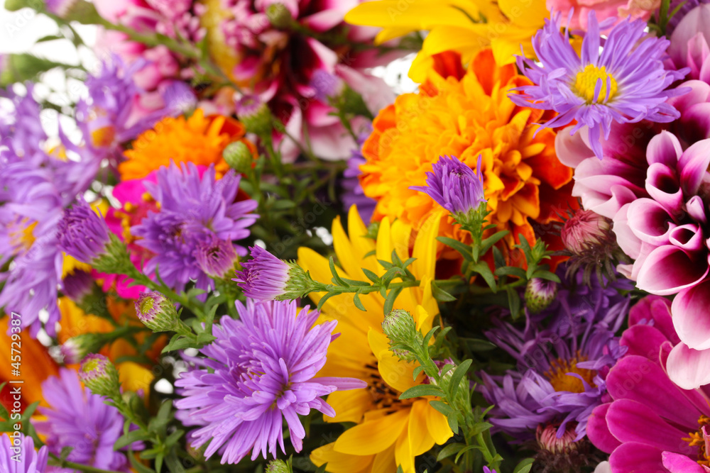 beautiful bouquet of bright flowers close-up beautiful bouquet of bright flowers close-up