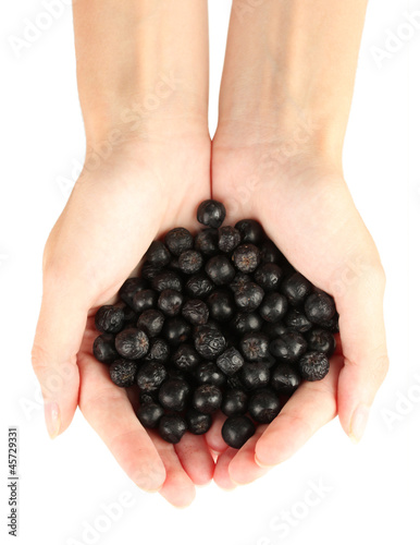 woman's hands holding a chokeberry on white background close-up