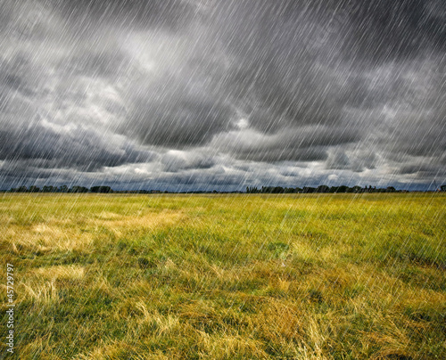 Heavy Rain over a prairie in Brittany, France