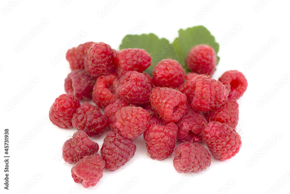 fresh raspberries isolated on white fresh raspberries isolated on white