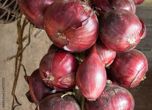 Red onion in a bundle