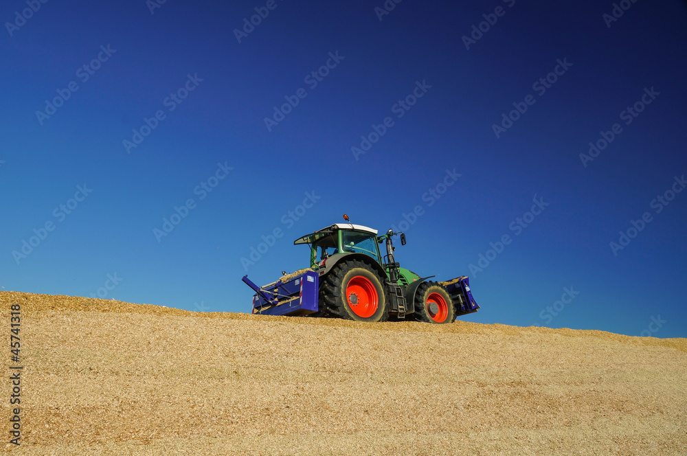 Obraz premium Maisernte