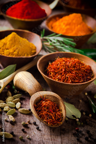 Assorted spices with fresh herbs