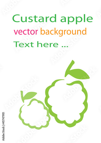 custard apple vector background