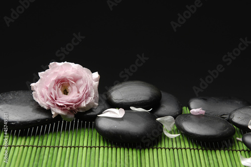 Pink ranunculus flower with pebble stones with green mat