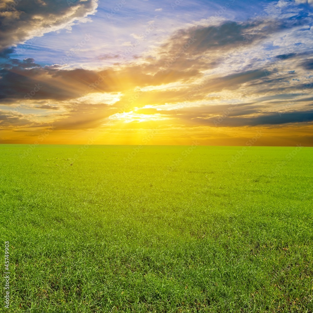 sunset among a green fields