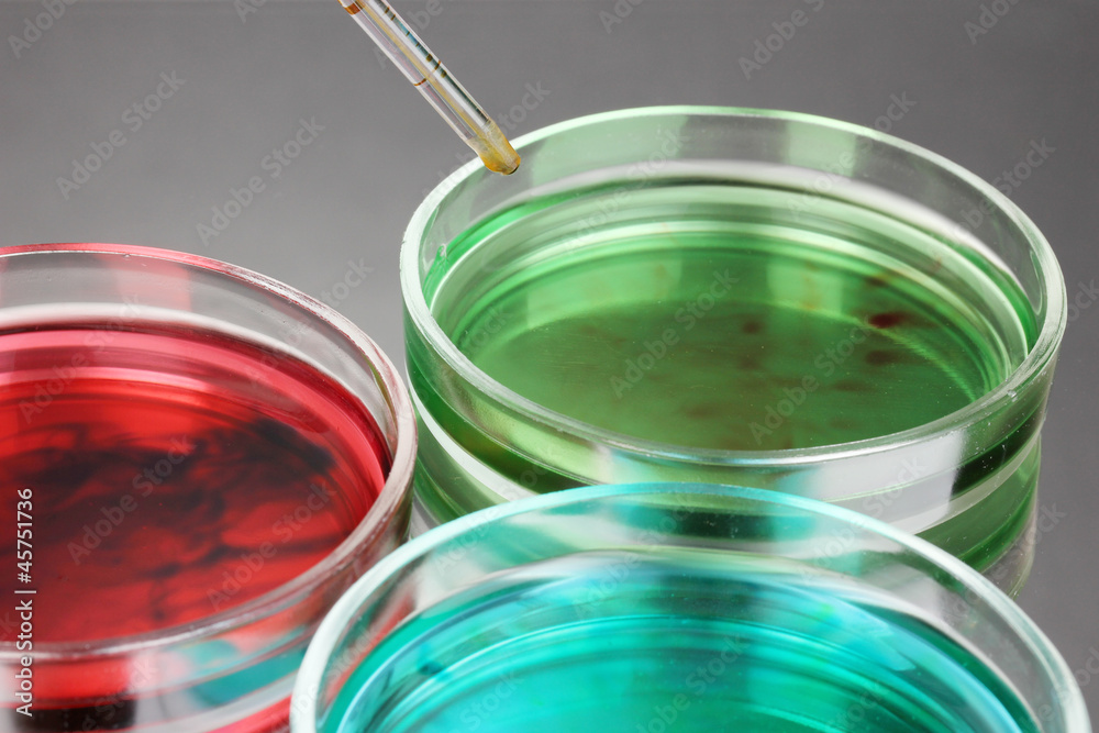 color liquid in petri dishes on grey background color liquid in petri dishes on grey background