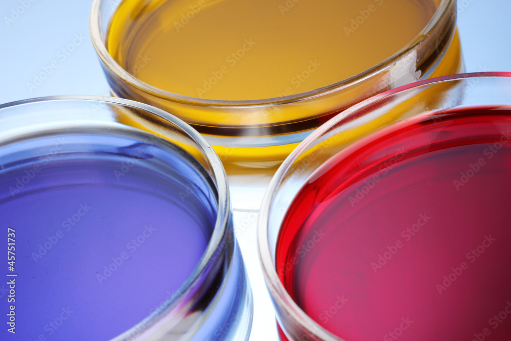 color liquid in petri dishes on blue background color liquid in petri dishes on blue background