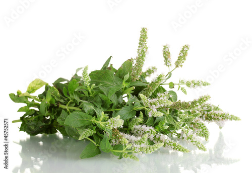 fresh mint with flowers, isolated on white