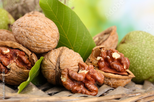 walnuts with green leaves in garden, on green background