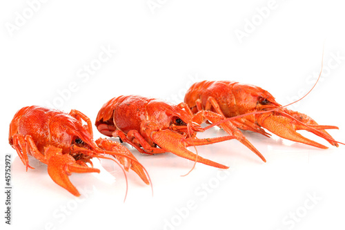 Tasty boiled crayfishes isolated on white