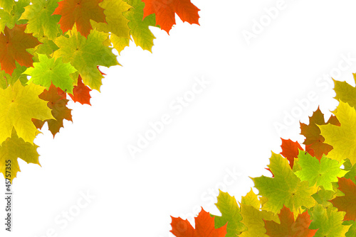 Autumn maple leafs background - Herbstlicher Hintergrund