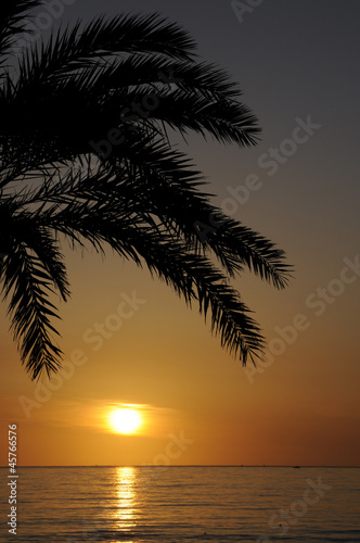 Fototapeta Naklejka Na Ścianę i Meble -  Palme bei Sonnenaufgang