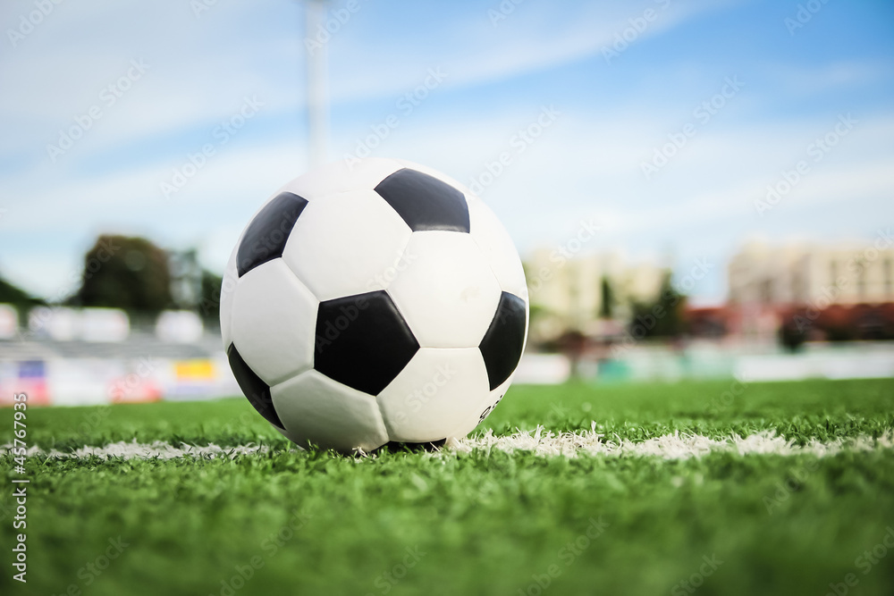 Fototapeta soccer ball on green grass
