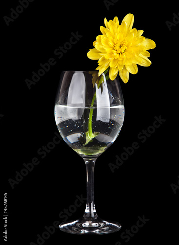 glass with water and  flower isolated on black background 