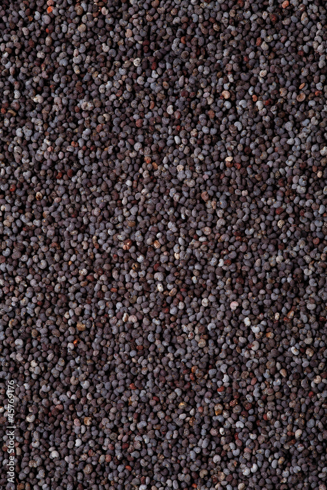 poppy seed background poppy seed background