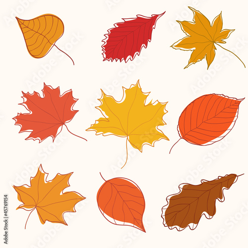 Collection of doodle golden autumn leaves
