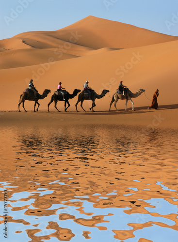 Camel Caravan in Sahara Desert