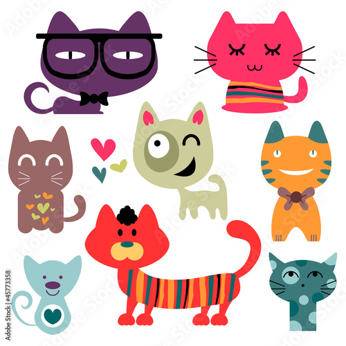 Various funny cats set