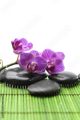 Branch pink orchid with zen stones on green mat