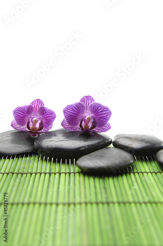 Pink orchid  Zen pebbles balance. and bamboo leaf