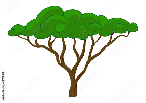 Tree vector illustration. Isolated on white