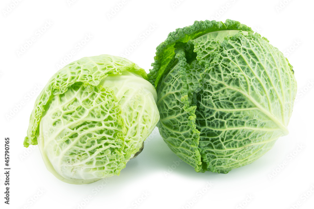 cabbage cabbage