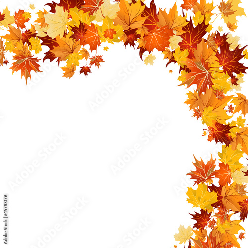 Herbst: oben mit Blättern