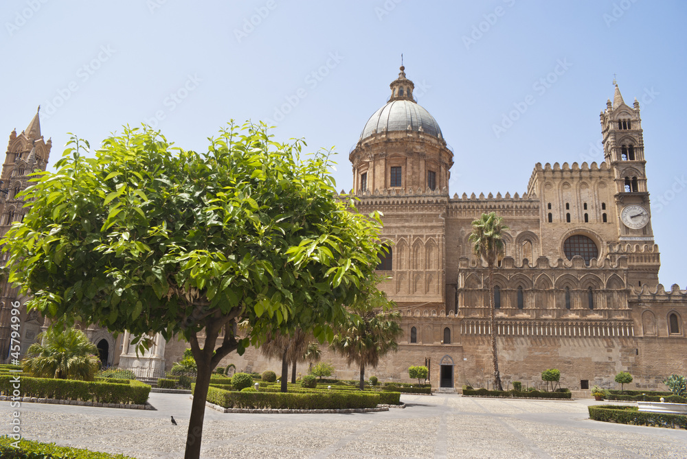 Detail of garden in Palermo Cathedral
