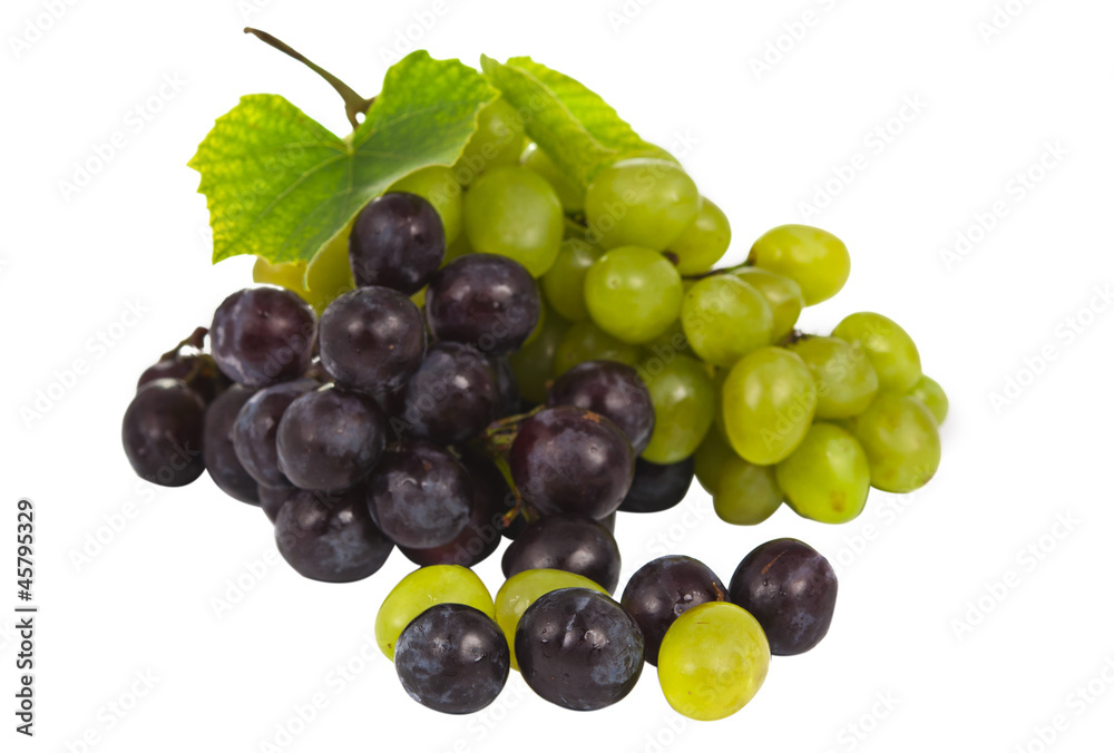 bunch of grapes isolated bunch of grapes isolated