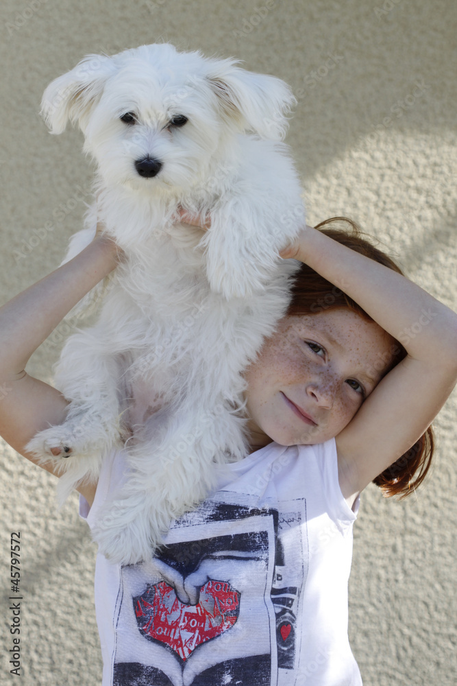 Fille 6 Ans Et Son Chien Bichon Maltais Stock Photo Adobe Stock Fille 6 Ans Et Son Chien Bichon Maltais Stock Photo Adobe Stock