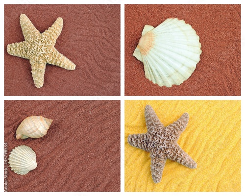 four sandy backgrounds with shells and starfish