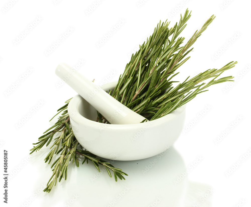 mortar with fresh green  rosemary isolated on white