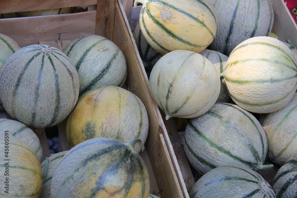 Melons at a market