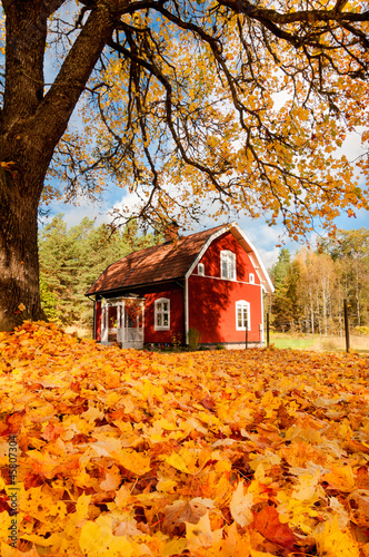 Rotes Holzhaus in Småland, Schweden im Herbst