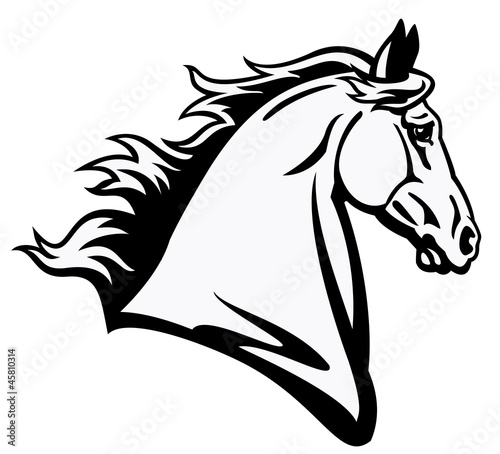 horse head black white profile