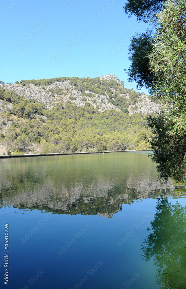 Bassin de la finca Raixa à Bunyola à Majorque