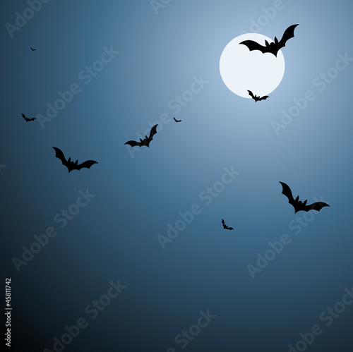 Bats in Sky Background in Vector