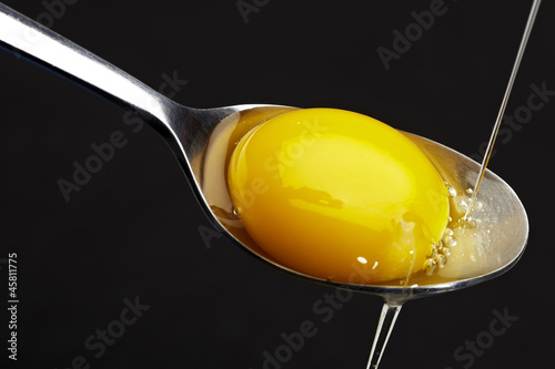 Yolk and protein seperating photo