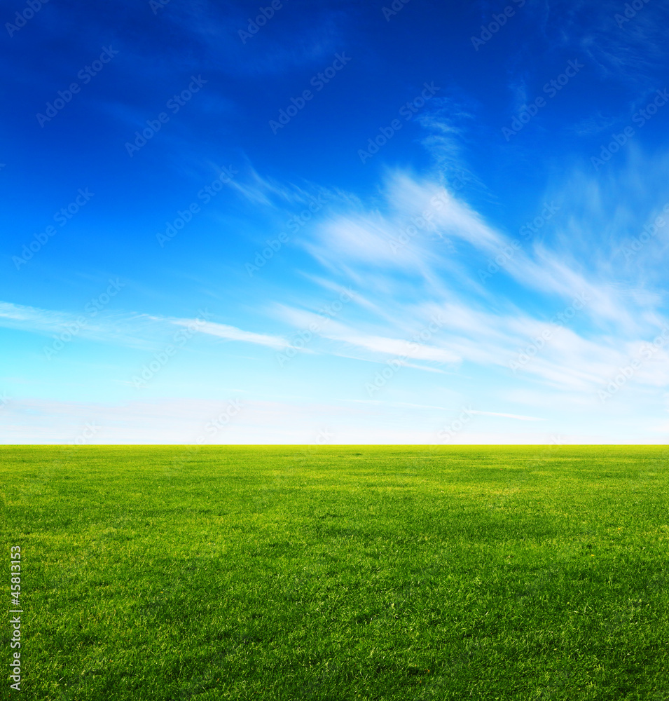 Image of green grass field and bright blue sky Image of green grass field and bright blue sky
