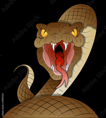 Snake Vector