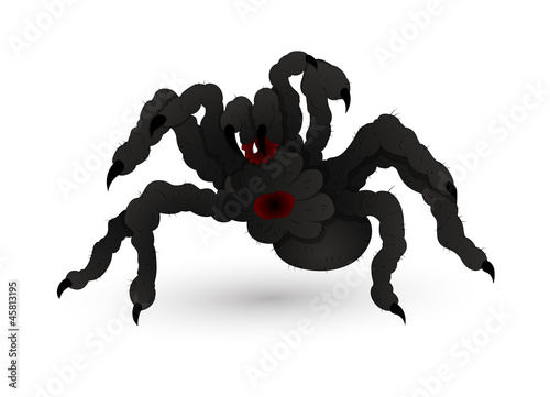 Halloween Scary Spider