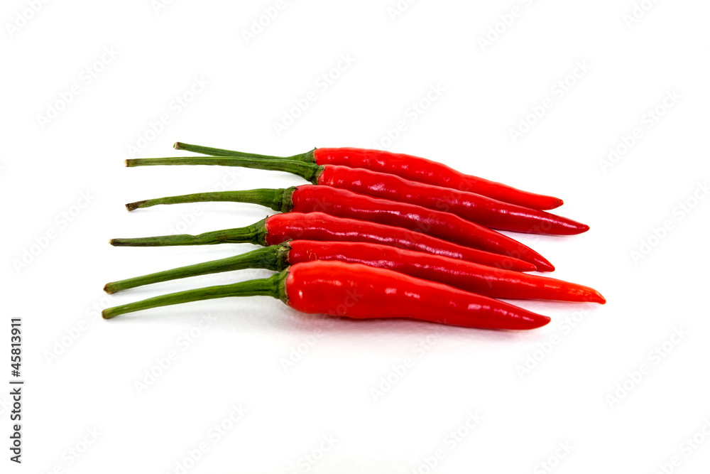 chili 5 chili 5