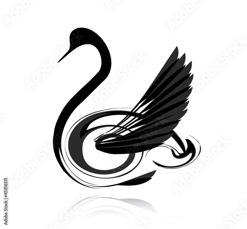 Abstract vector black swan