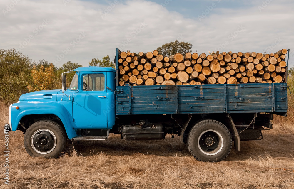 Obraz premium Loading of felled timber in a truck with crane