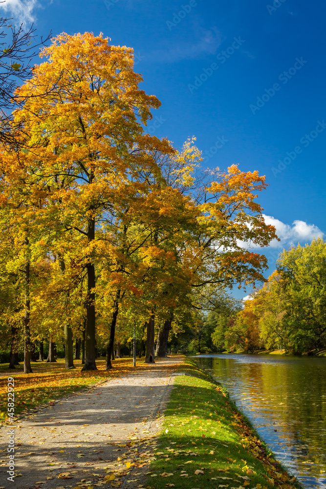 Obraz premium Reflection on the river in autumn park