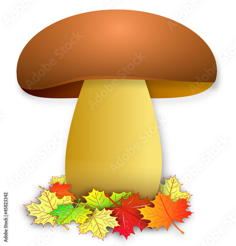 Pilz auf Herbstlaub