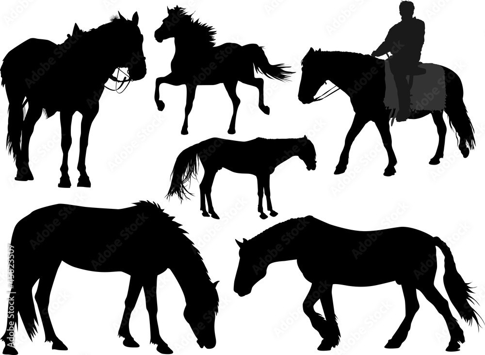 Vector set of silhouettes of a horse Vector set of silhouettes of a horse