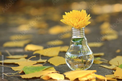 Light bulb with yellow flower