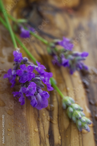 Fototapeta Naklejka Na Ścianę i Meble -  Sprigs of fresh lavender